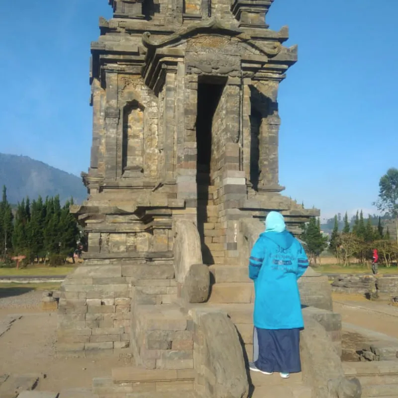 hijacket avia dark grey